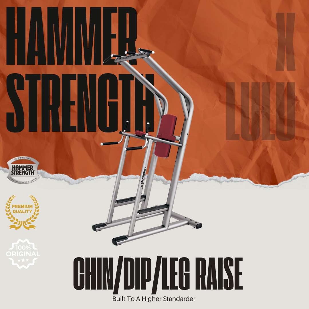 CHIN / DIP / LEG RAISE