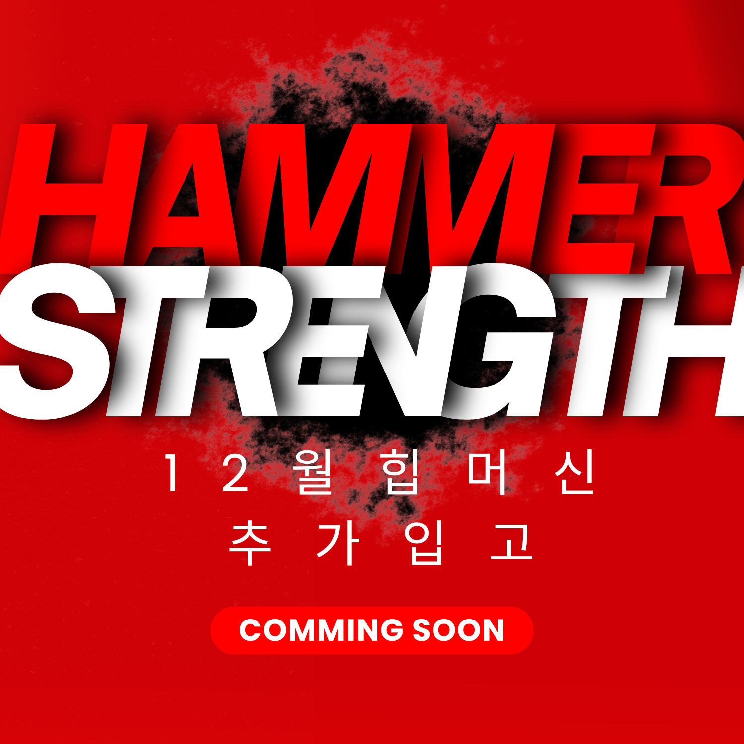 12월 해머스트렝스 추가 입고 COMING SOON